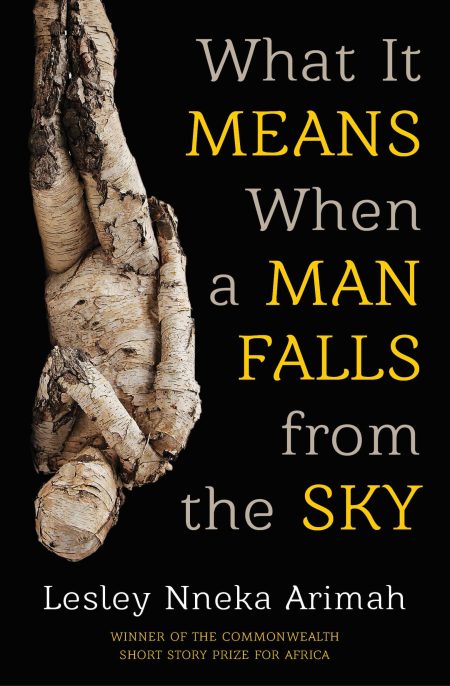 What it Means when a Man Falls from the Sky - Lesley Nneka Arimah