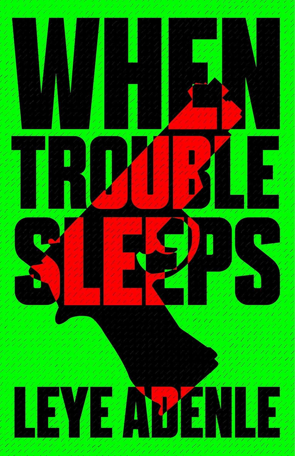 When Trouble Sleeps: An Amaka Thriller, 2 - Leye Adenle